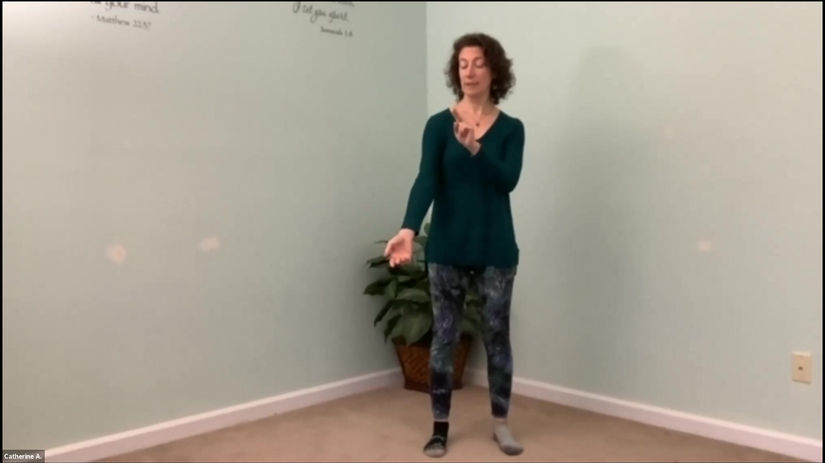 Immune Qigong Flow
